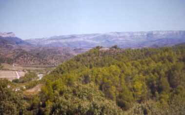 Excavacions de Puig Roig