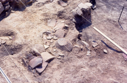 Excavacions de Puig Roig