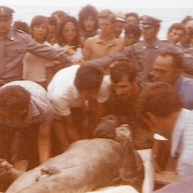 Bronzes de Riace 1972