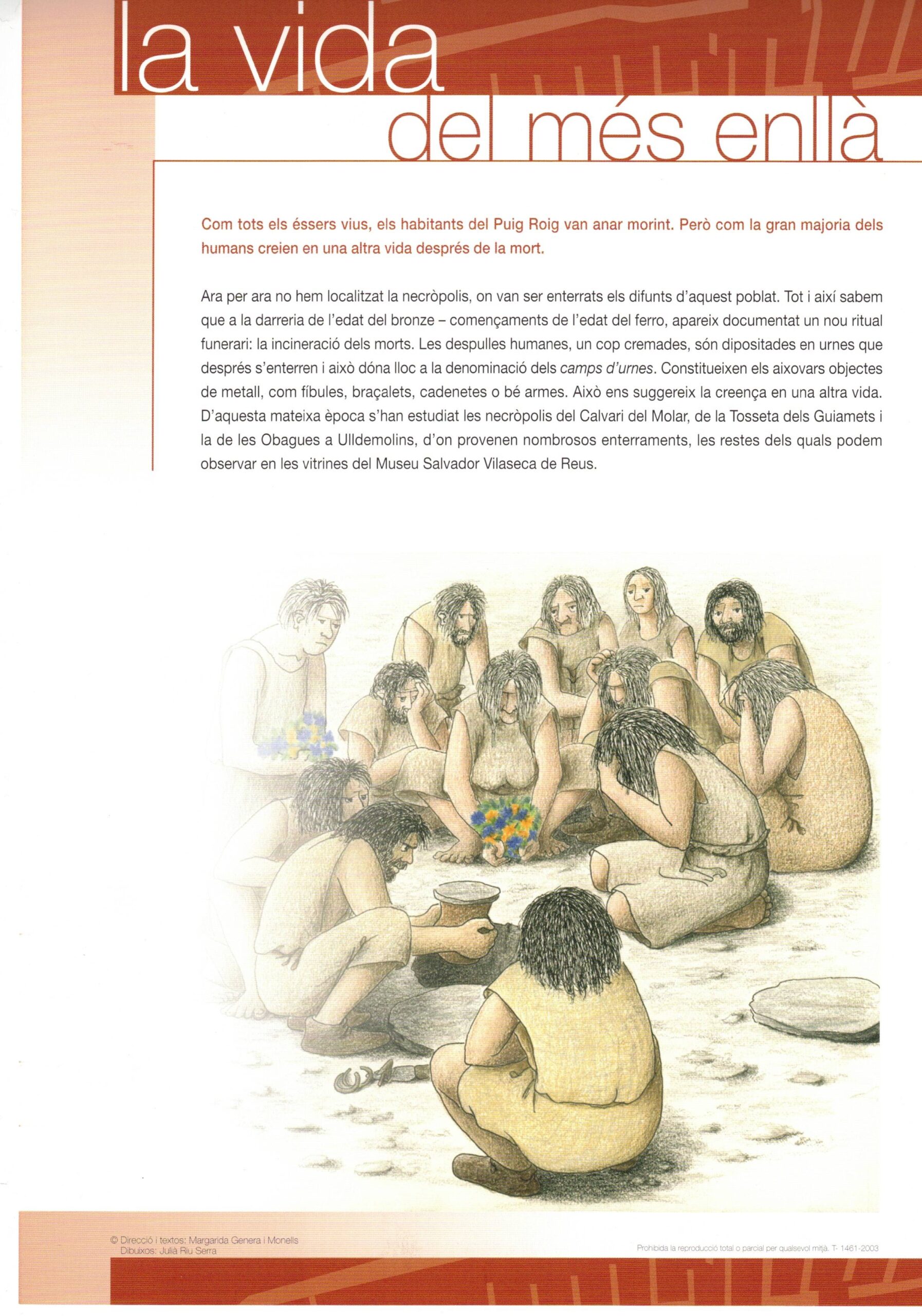 La vida del més enllà