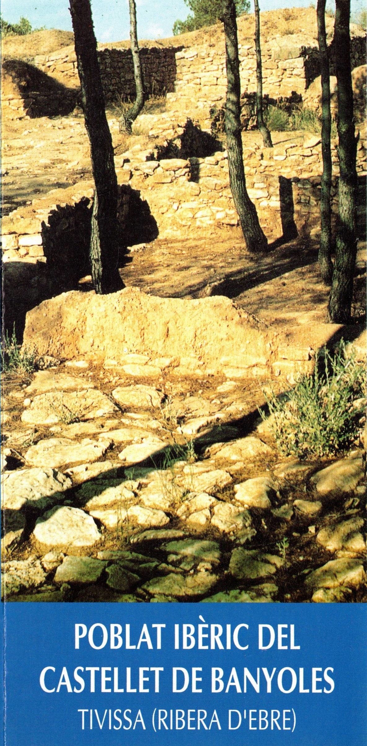 Poblat ibèric del Castellet de Banyoles